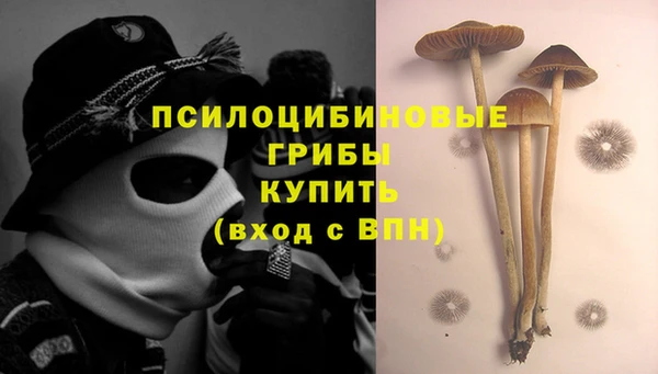шишки Волоколамск